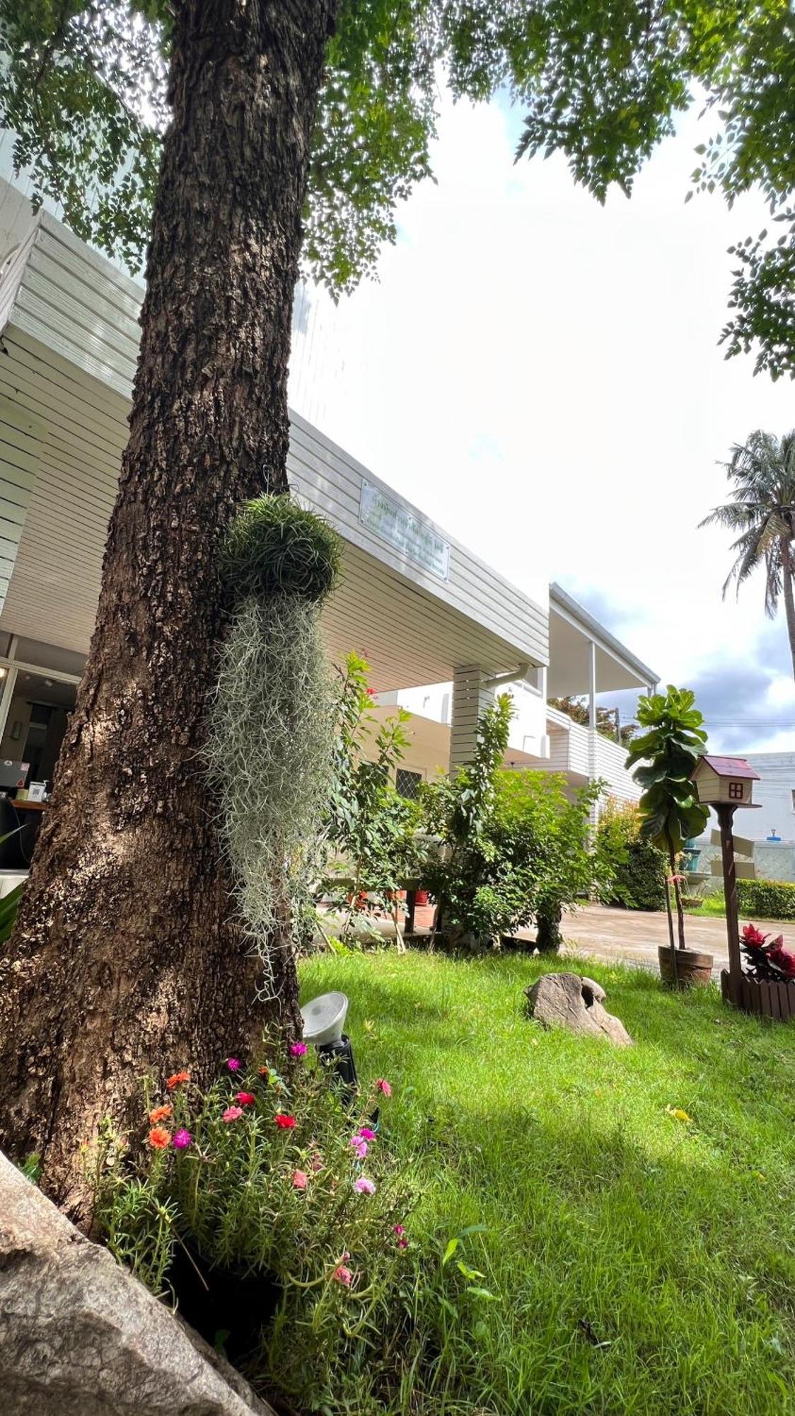 Udee Cozy Hotel Chiang Mai Eksteriør billede